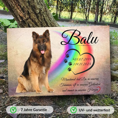 Tiergrabstein für Hunde mit Foto – personalisierte Gedenktafel Regenbogenbrücke mit Herz und Pfoten, wetterfestes Andenken für Haustiere