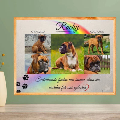 Wandbild mit Hundebildern und Trauertext im goldenen Rahmen an einer grünen Wand. In dem Fotoposter ist ein Regenbogen und Hundepfoten.