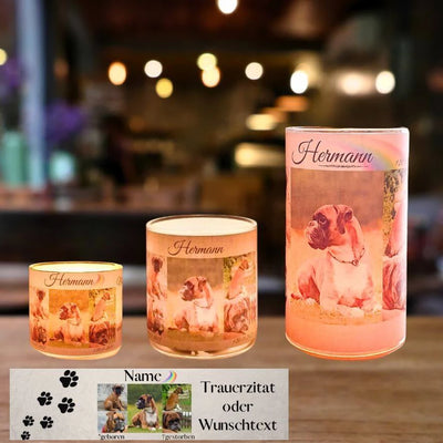 Leuchtende Windlichter in verschiedenen Größen mit Hundebildern und Text auf einem Tisch.