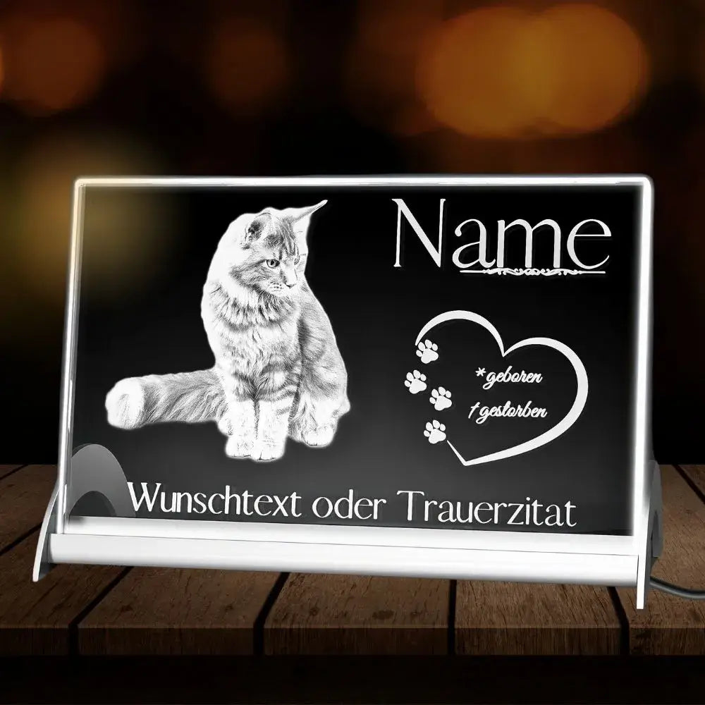Personalisierte Kristallglas Bild mit LED-Beleuchtung für eine verstorbene Katze. Beleuchtetes Glasbild mit Daten der Katze