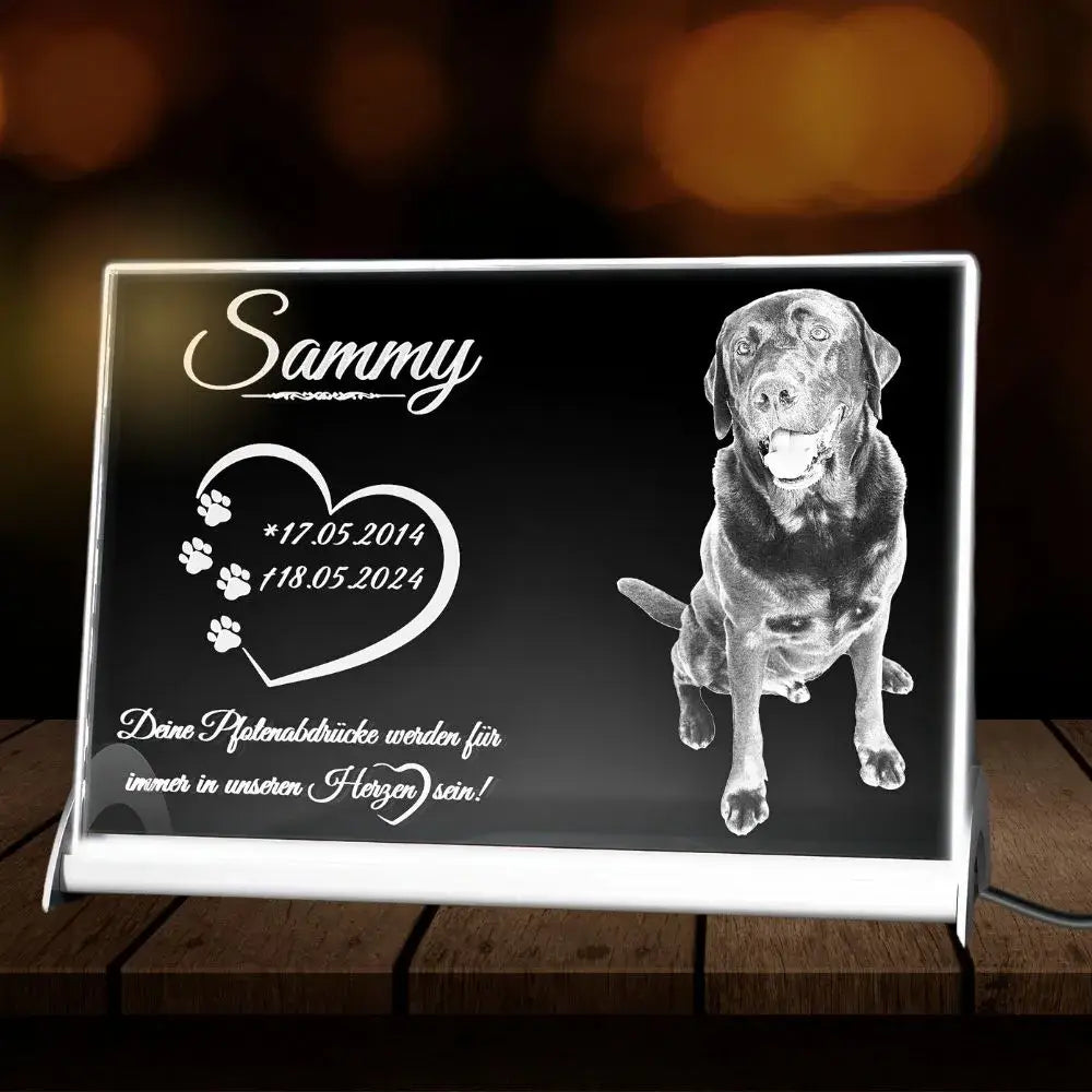 Personalisierte Kristallglas Bild mit LED-Beleuchtung für ein verstorbenen Hund. Beleuchtetes Glasbild mit Daten von dem Hund.