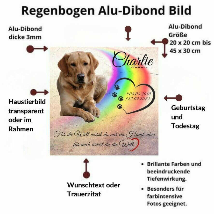 Fotoleinwand gestalten – Andenken an dein verstorbenes Haustier.