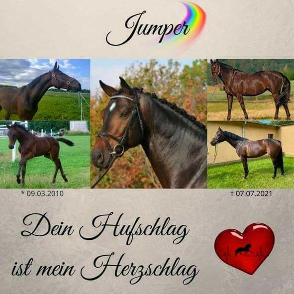 Bilderleinwand für Dein verstorbenes Tier.