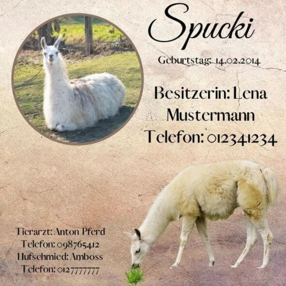 Boxenschild Pferd mit Foto & Daten – personalisiert & wetterfest.