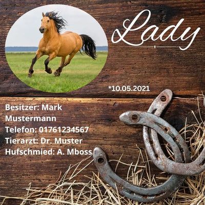 Pferdeschild in Holzoptik mit Hufeisen – rustikal & personalisiert.