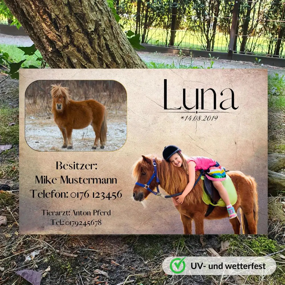 Boxenschild Pferd mit Foto & Daten – personalisiert & wetterfest.