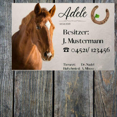 Namensschild Pferd mit Foto & Daten – individuell für Pferdestall & Box.