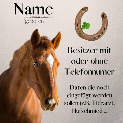 Namensschild Pferd mit Foto & Daten – individuell für Pferdestall & Box.