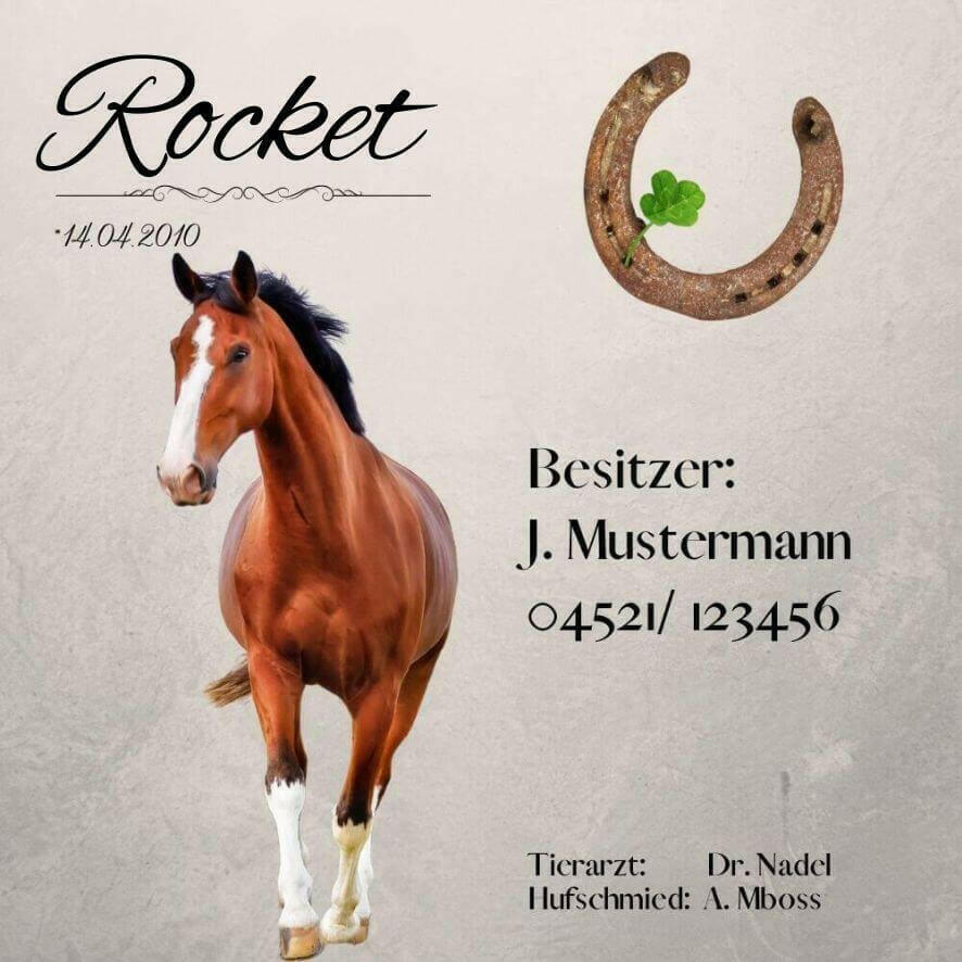 Namensschild Pferd mit Foto & Daten – individuell für Pferdestall & Box.