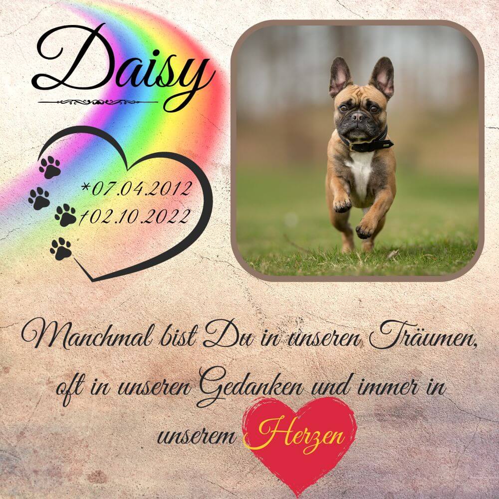 Hund im Rahmen eines Tiergrabstein. Gedenktafel mit Regenbogen, Herz und Daten des Hundes.