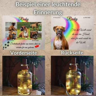 Flaschenlicht, Leuchtflasche Fotocollage von deinem Haustier.