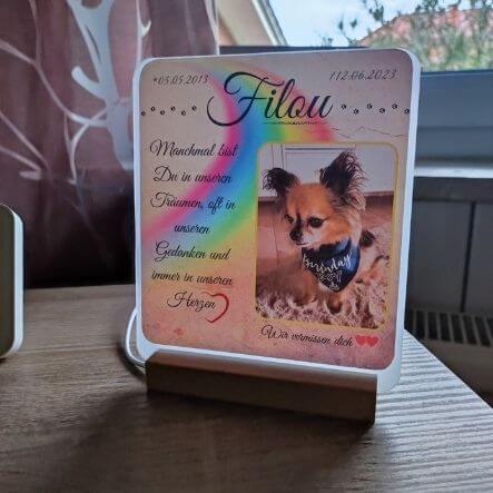 Personalisierte Tischlampe mit Tierportrait, Trauerzitat, Tiername, Regenbogenbrücke und Pfoten. Die LED-Lampe mit Geburts- und Todestagen steht auf einem Holztisch.