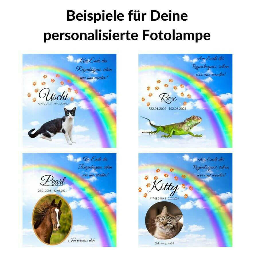 Fotolampe von Deinem Haustier.