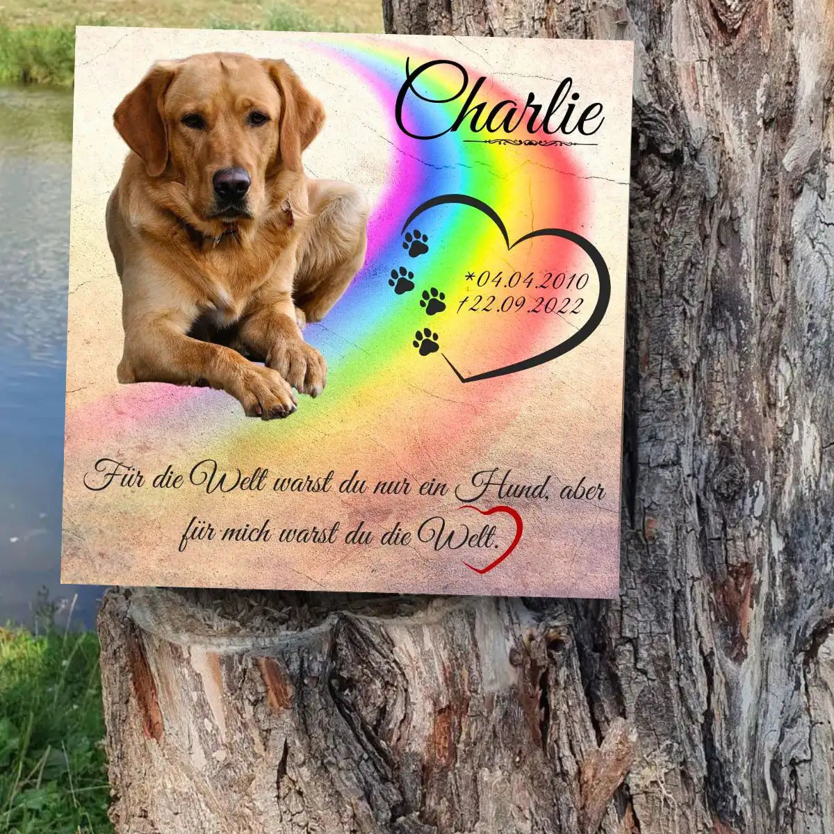 Gedenktafel Hund mit Regenbogenbrücke und Pfotenherz – wetterfest auf dem Tierfriedhof