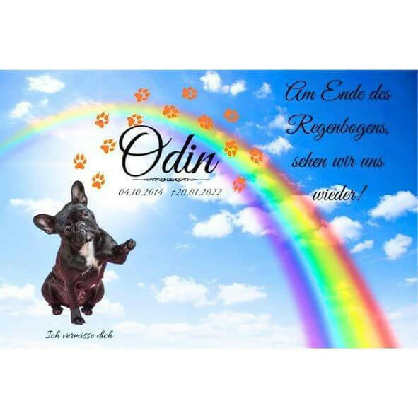Grabbild mit Hundefoto als Tierandenken von Regenbogenspuren. Haustierbild für Tiergrabstein mit Tierportrait, Tiernamen, Trauerzitat und Informationen deines Lieblings.