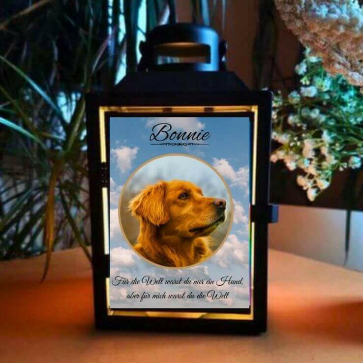 Leuchtendes Grablicht mit Hundebild auf einem Tisch und Daneben sind Pflanzen und Blumen. Die Fotolaterne ist personalisiert mit Hundeportrait, Daten und Trauerzitat.