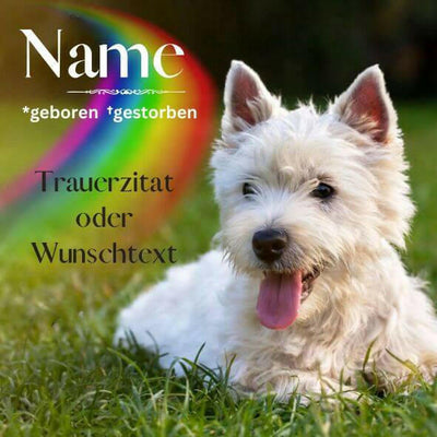 Tiergrabstein für Hund oder Katze – personalisiert mit Foto, Name & Datum.