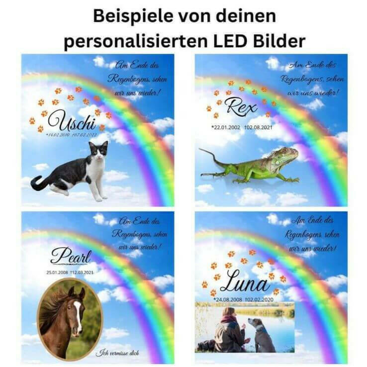 LED Bild von Deinem Haustier.