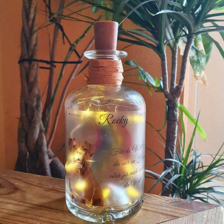 Flaschenlicht, Leuchtflasche Fotocollage von deinem Haustier.