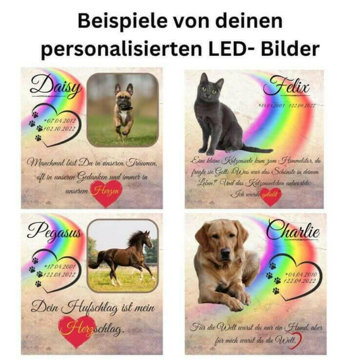 Leuchtfotos von Deinem Haustier.