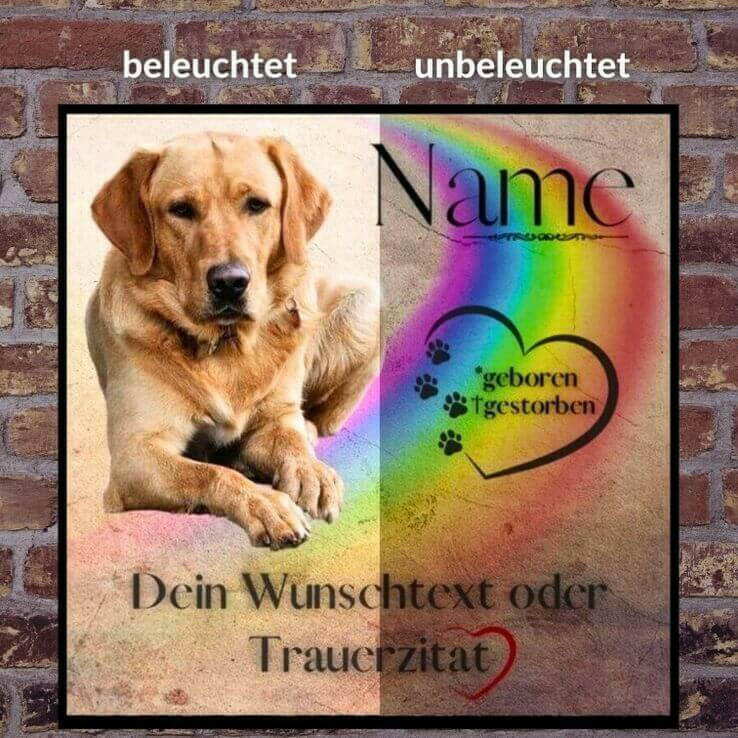 Leuchtfotos von Deinem Haustier.
