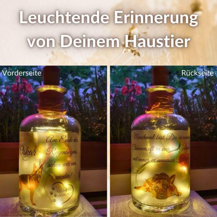 Flaschenlicht, Trauerlicht Deines Haustieres.