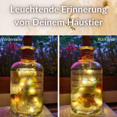 Flaschenlicht, Trauerlicht Deines Haustieres.