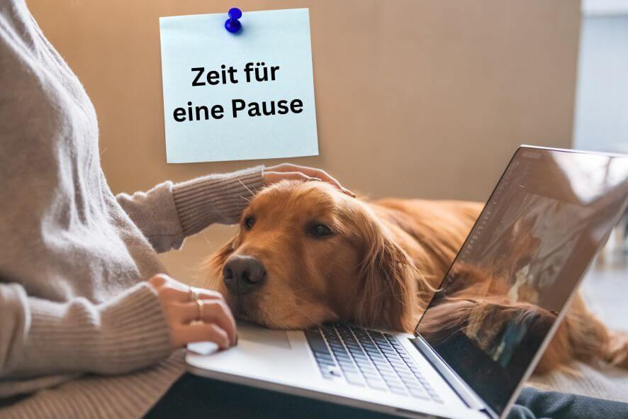 Hund, der seinen Kopf auf den Laptop legt und sein Frauchen ihn streichelt.