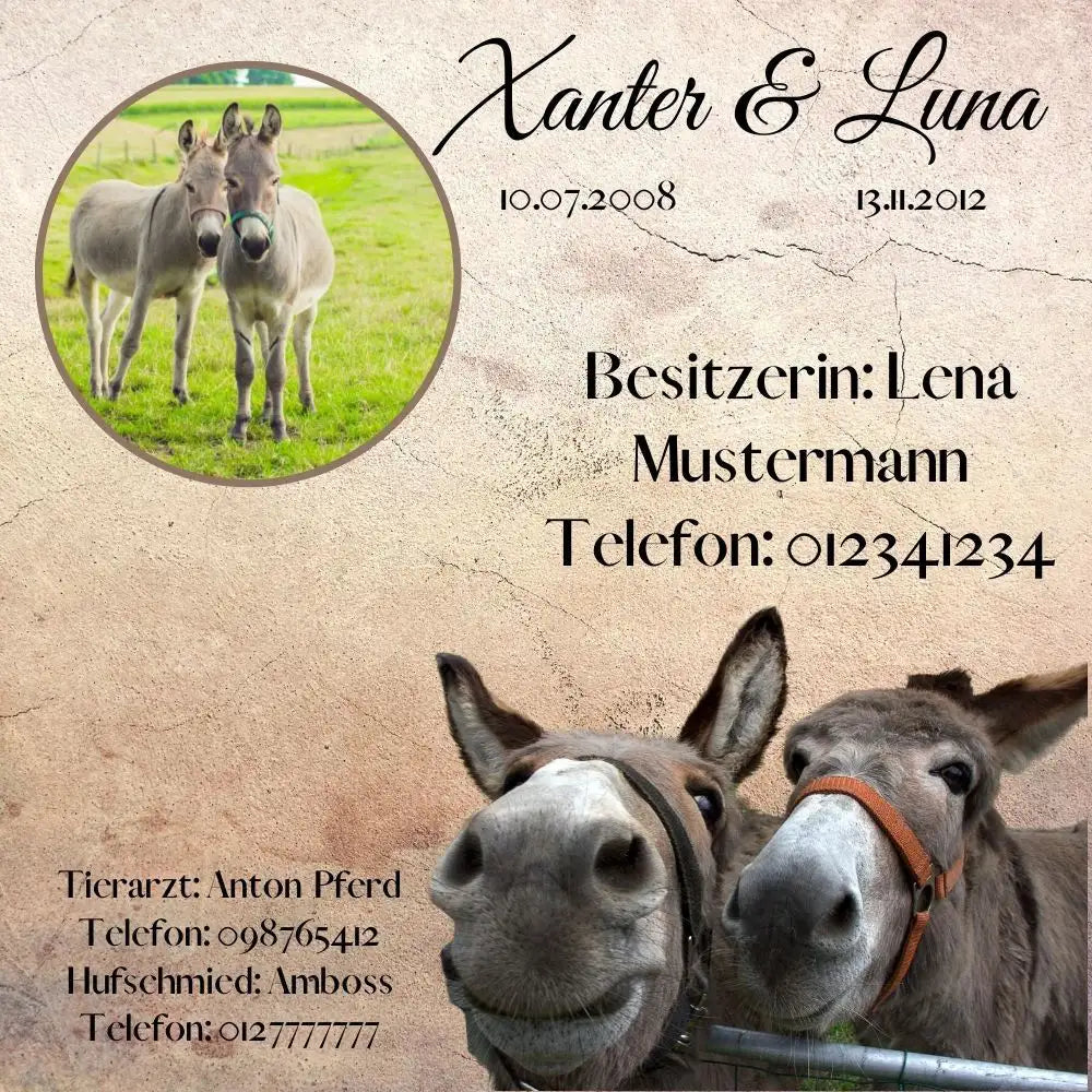 Boxenschild Pferd mit Foto & Daten – personalisiert & wetterfest.