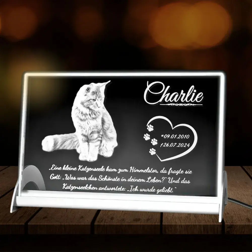 Personalisierte Kristallglas Bild mit LED-Beleuchtung für eine verstorbene Katze. Beleuchtetes Glasbild mit Daten der Katze.