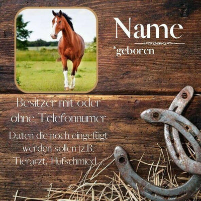 Pferdeschild in Holzoptik mit Hufeisen – rustikal & personalisiert.