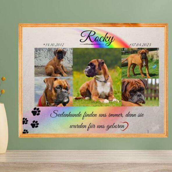 Wandbild mit Hundebilder und Regenbogen an einer grünen Wand. Fotoposter mit goldenen Rahmen, Trauertext und Hundepfoten.