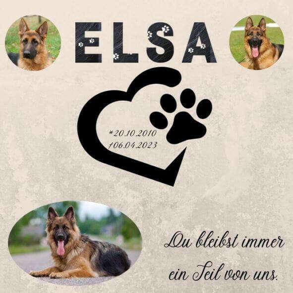 Poster als Erinnerung an deinen Schäferhund. Andenken personalisiert mit Trauerzitat, Geburtstag und Sterbetag. Wandbild mit Herz, Pfoten und Informationen zu deinem Hund.