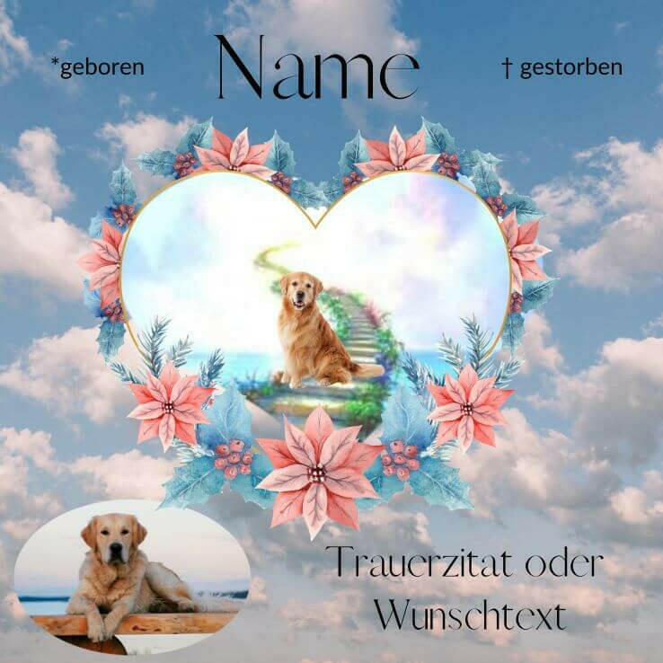 Fotoposter mit Hundeportrait auf der Regenbogenbrücke. Wandbild personalisiert mit Hundebilder, Hundenamen, Trauertext und Informationen deinen verstorbenen Hund.