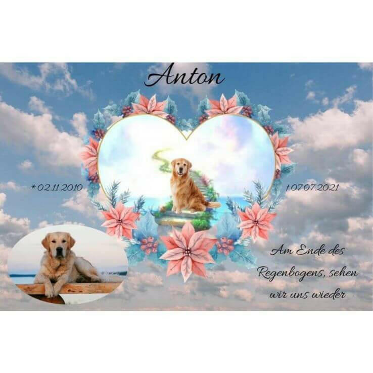Personalisiertes Tierandenken von Regenbogenspuren als Erinnerung Hund. Wandbild mit Regenbogenbrücke, Trauerzitat, Haustiernamen und Informationen deines Haustieres.
