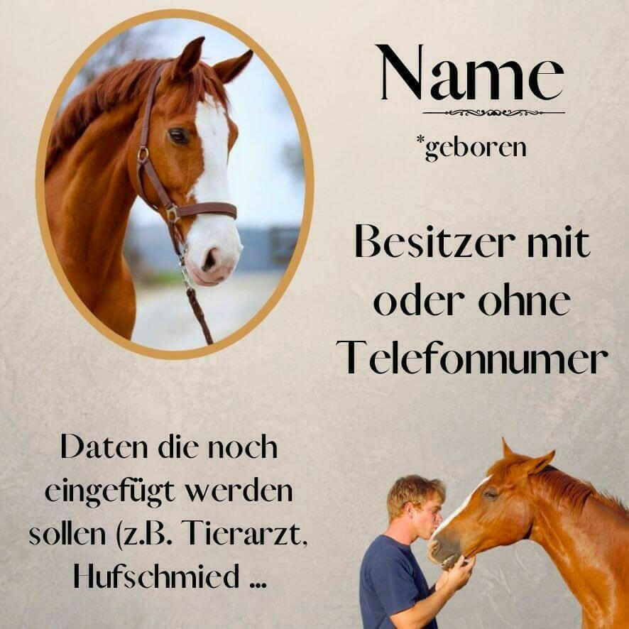 Stalltafel Pferd aus Alu-Dibond.