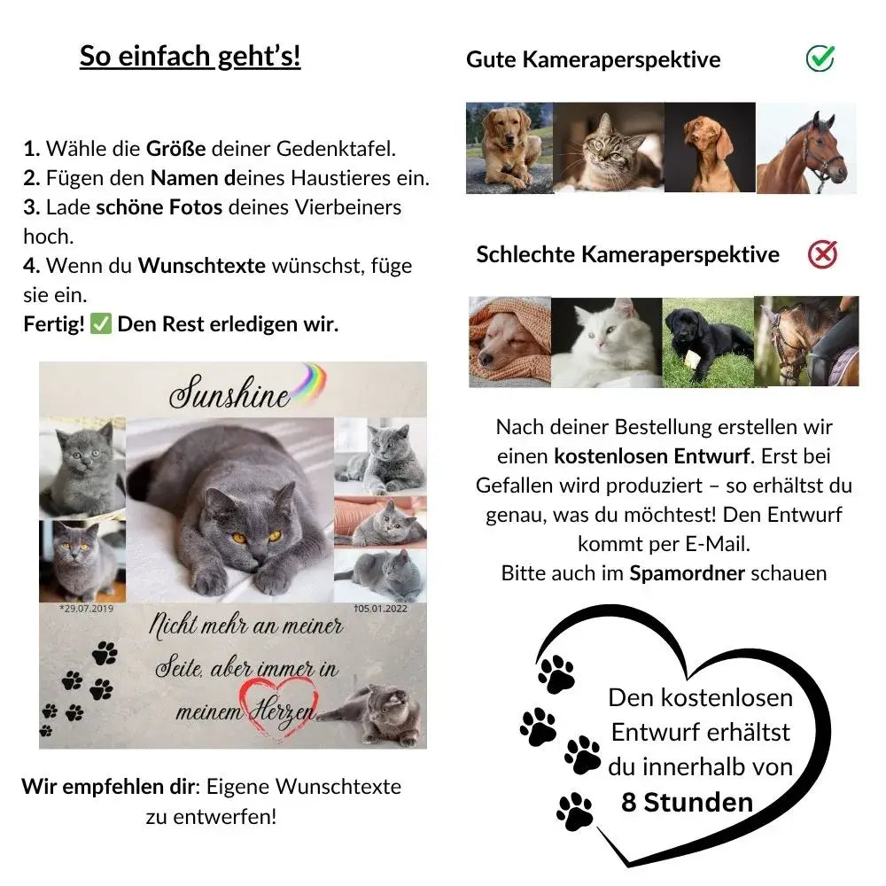 Anleitung zur Gestaltung einer Tiergedenktafel mit Bildauswahl-Tipps – Beispiel mit Katze und Kameraperspektiven für gute Fotos