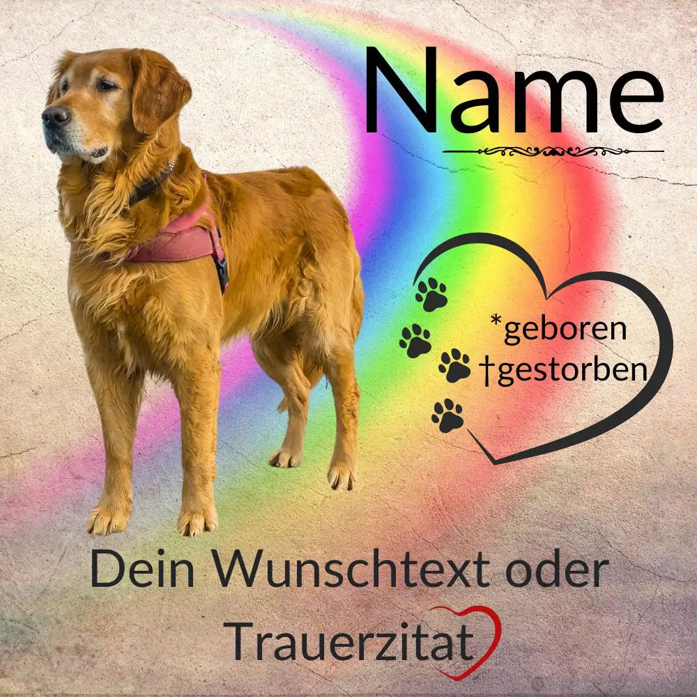 Tiergrabstein mit Foto und Regenbogen für Hund oder Katze – personalisierbar mit Namen, Daten und Wunschtext