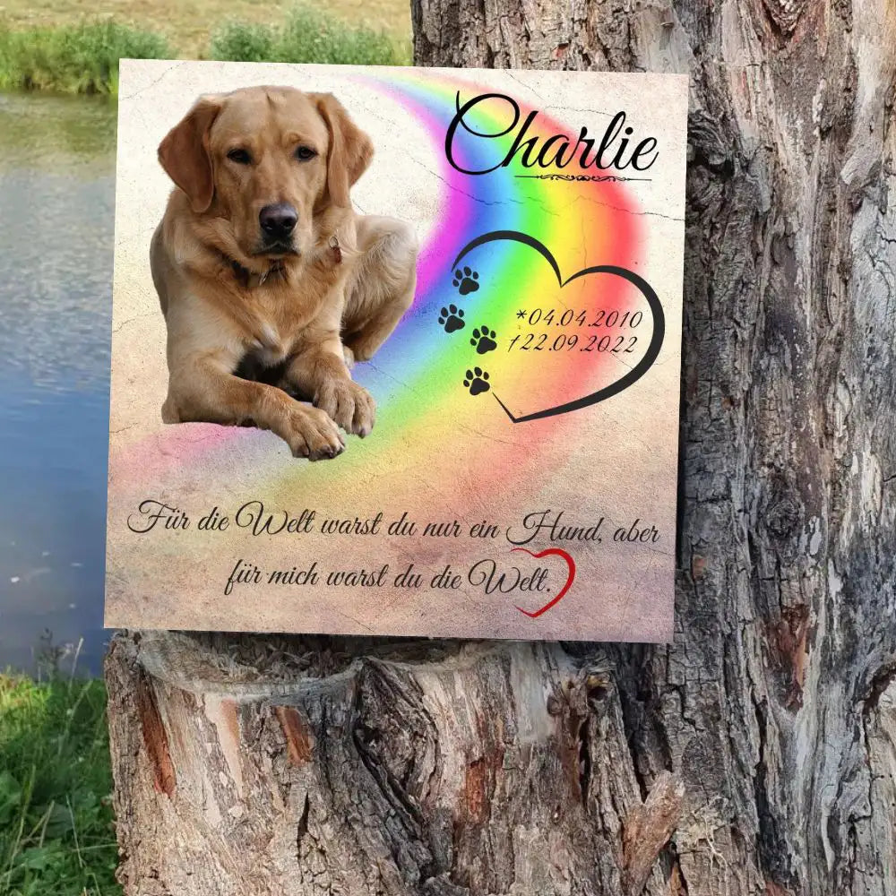 Tiergrabstein für Hund mit Pfotenherz und Regenbogen – personalisiert mit Foto, Name und Datum als liebevolles Andenken