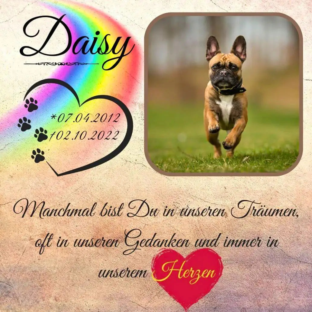 Tiergrabstein für Hund mit Regenbogenbrücke, Pfotenherz, Hundefoto, Namen, Lebensdaten und Trauerzitat – personalisierte Gedenktafel als bleibende Erinnerung