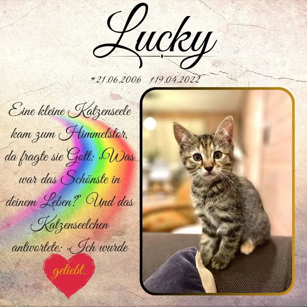 Tiergrabstein mit Foto einer Katze, Regenbogen, Herz und Spruch ‚Ich wurde geliebt‘ – personalisierte Gedenktafel als Erinnerung