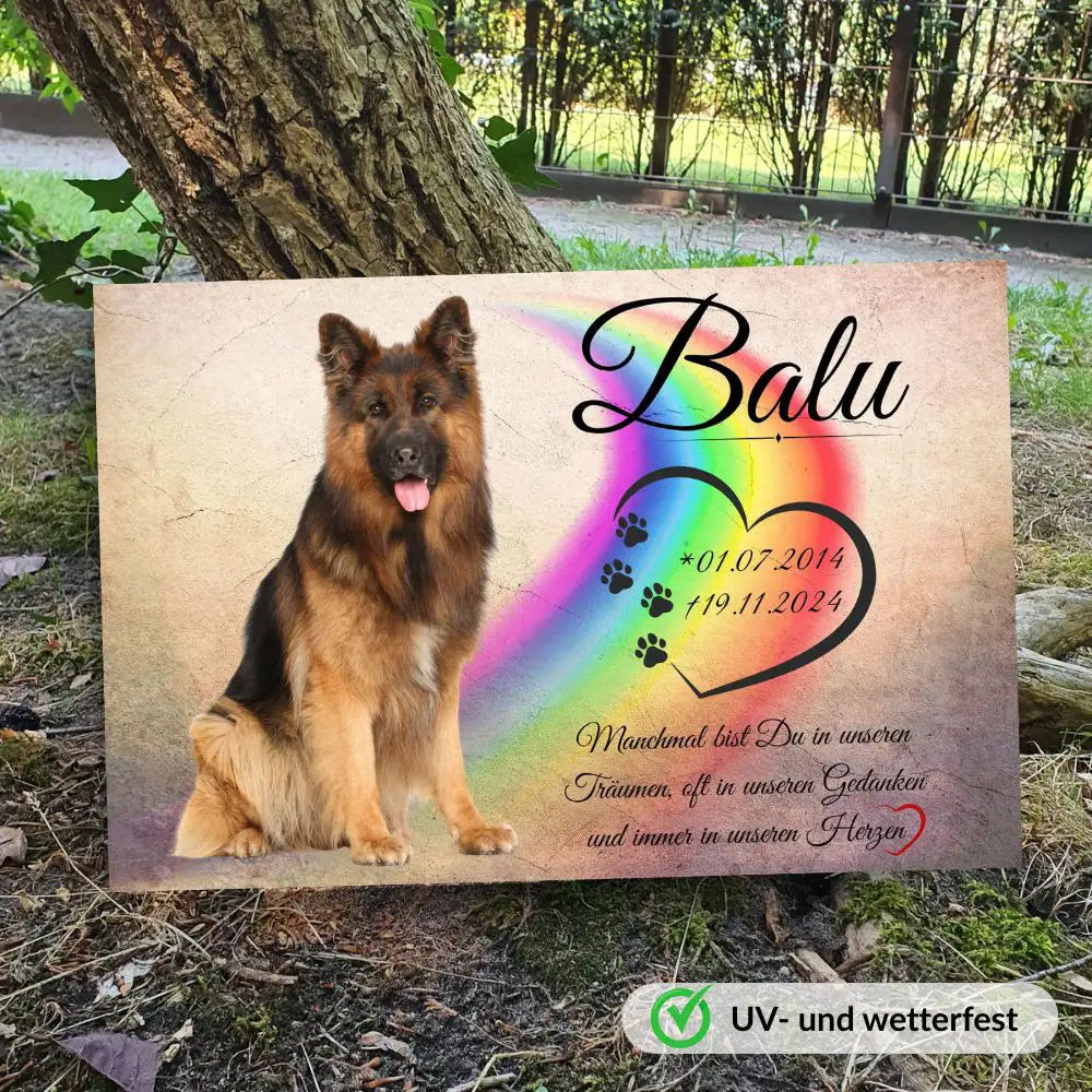Tiergrabstein mit Regenbogenherz und Hundebild – wetterfestes Gedenkbild auf Alu-Dibond