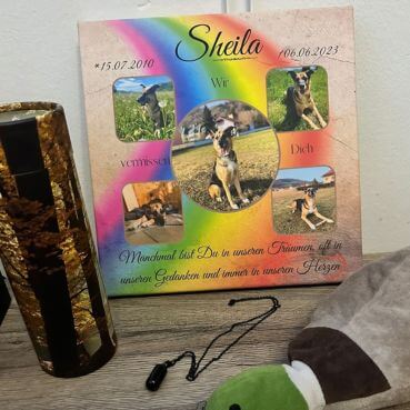 Grabstein Hund mit Regenbogen, Trauertext, Geburtstag, Todestag und Hundename. Personalisiertes Tiergrabstein mit Fotocollage steht auf einem Regal mit anderen Tierandenken.