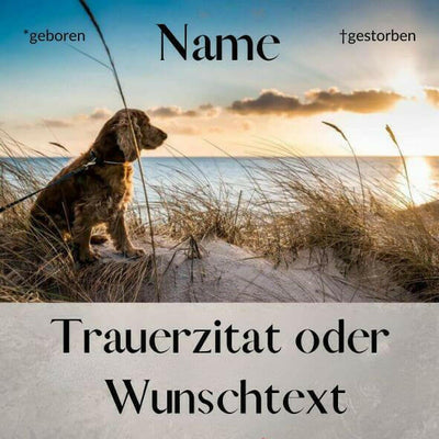 Tierportraits von Deinem verstorbenen Haustier.