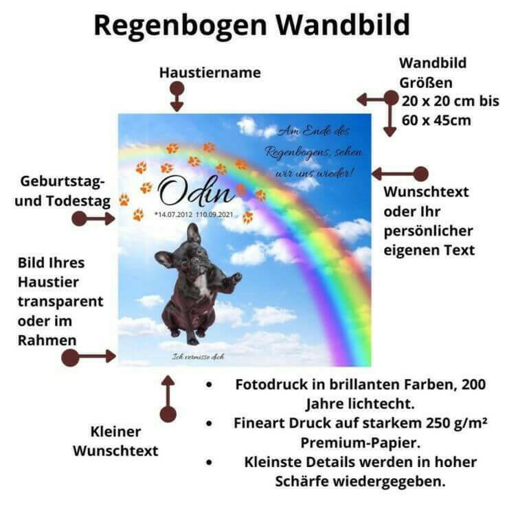 Beschreibung eines Trauerbild deines Hundes. Hundebild personalisiert mit Regenbogen, Trauerzitat, Hundenamen und Informationen von dem Geburtstag und Todestag deines Hundes.