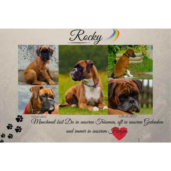 Fotoposter von deinem Haustier.