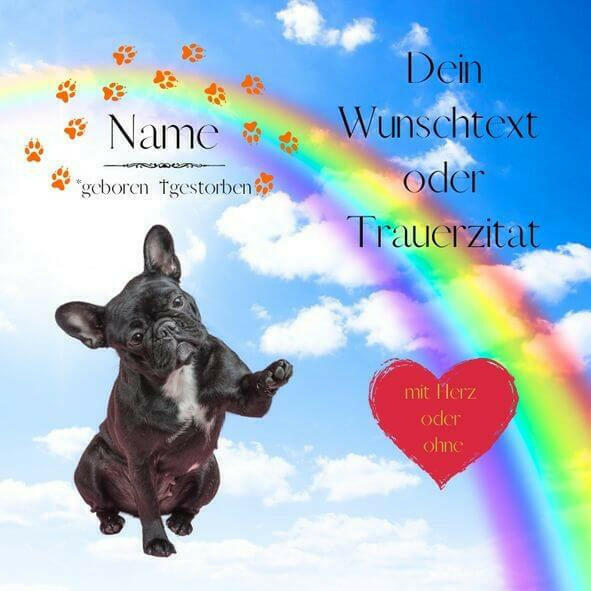 Trauerbild mit Hundepfoten und Hundeportrait. Gedenkbild personalisiert von Regenbogenspuren mit Hundebild, Hundenamen, Wunschtext und Informationen deines Hundes.