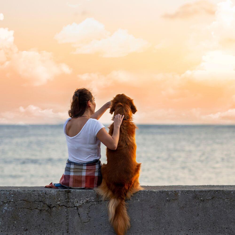 Hundeliebhaber sitzt mit einen Hund auf einer Mauer am Meer und streichelt den Hund.