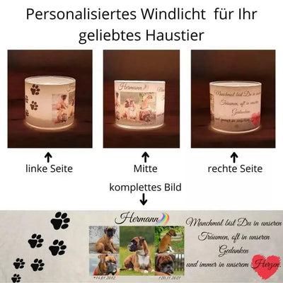 Haustier Windlicht selbst gestalten.