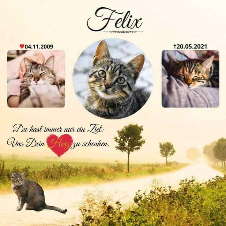 Grabstein für Tiere – personalisiert mit Bild & Namen.